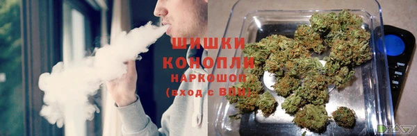 гидра Лиски