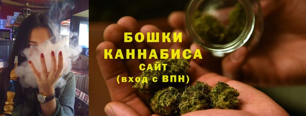 гидра Лиски